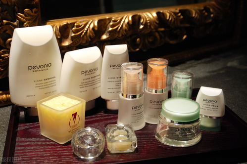 網(wǎng)紅同款化妝品與衛(wèi)生用品批發(fā)指南